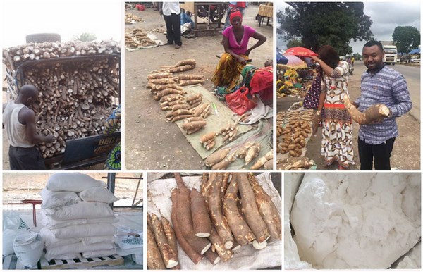 cassava production machine