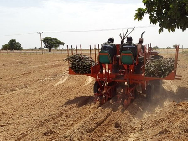 cassava processing equipment