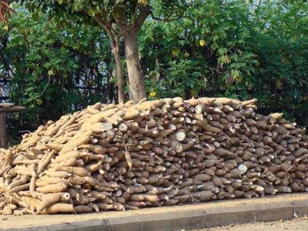 cassava flour making machines