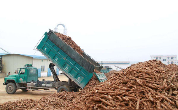 cassava starch processing machine