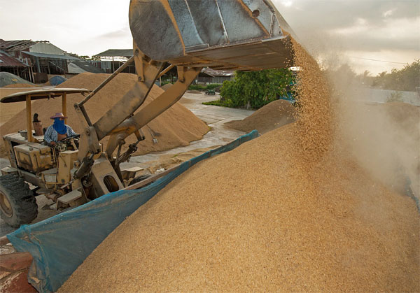 autamatic rice milling plant