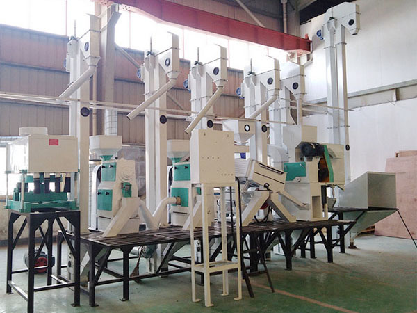 Rice milling and polishing machine