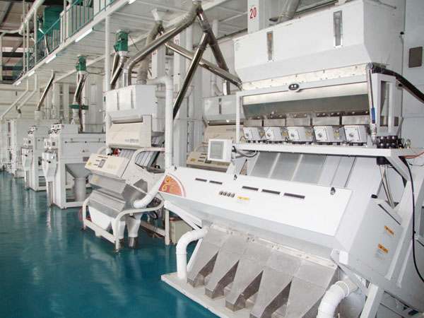 rice milling plant