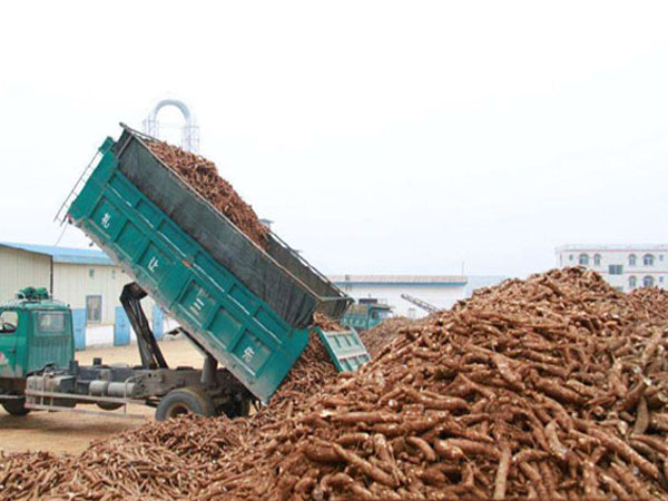 cassava chips slicer machine