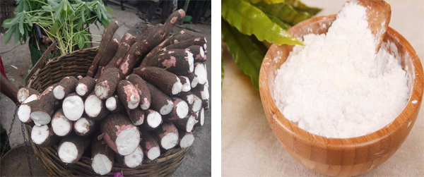 what is the use of cassava flour