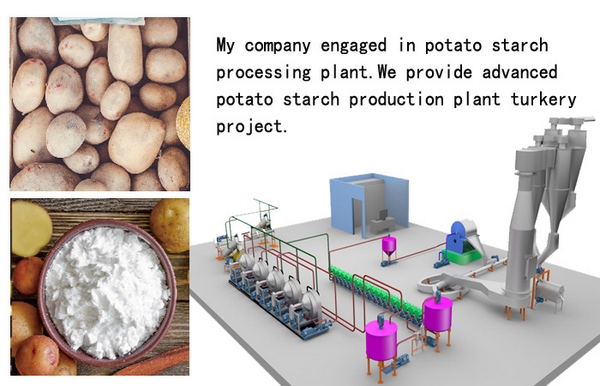 potato starch processing plant