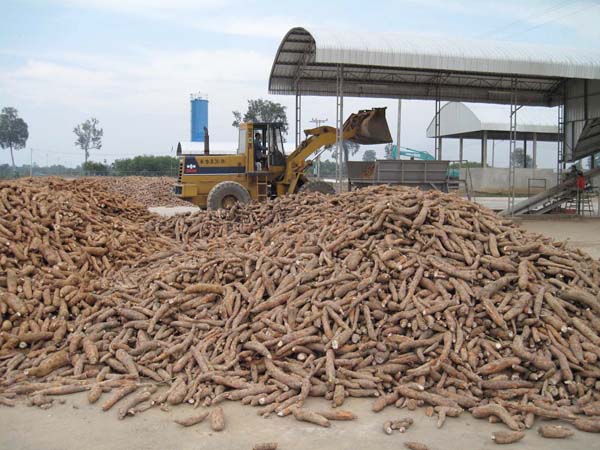 Cassava flour making machine