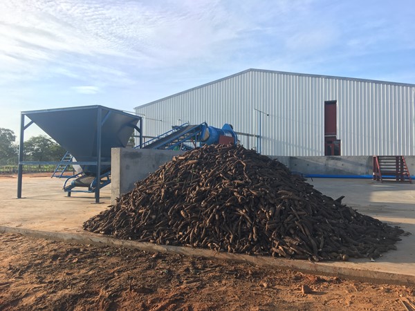 cassava processing