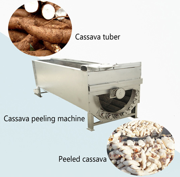 cassava peeling and washing machine