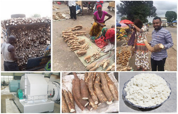 cassava grinding machine in nigeria