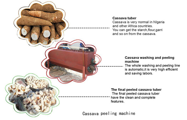 cassava peeler