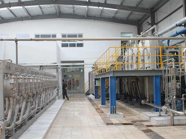 cassava starch processing plant