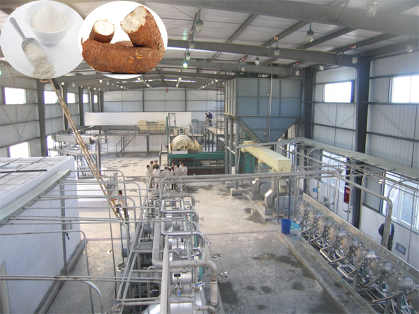 Process of tapioca starch production