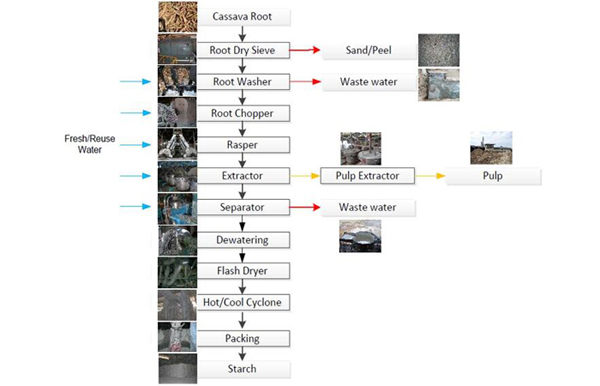 tapioca starch production