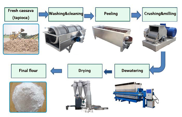 cassava flour production process