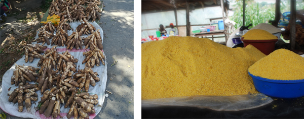 garri processing