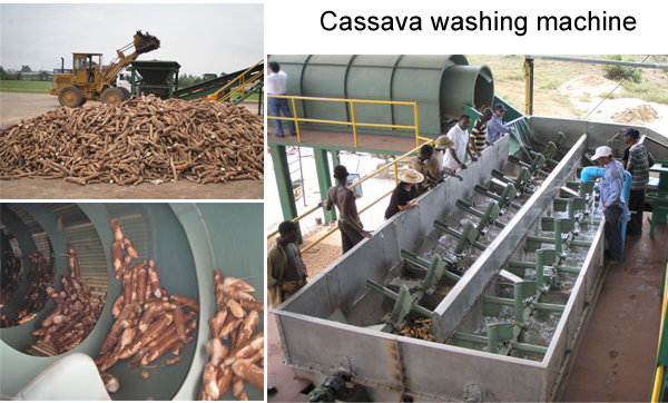 cassava flour equipment