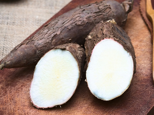 cassava