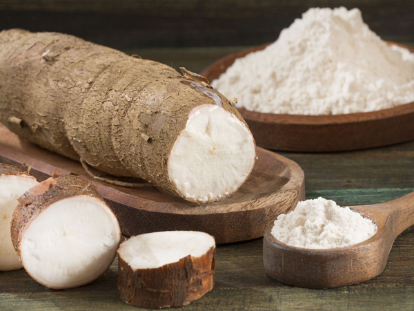 cassava industrial use