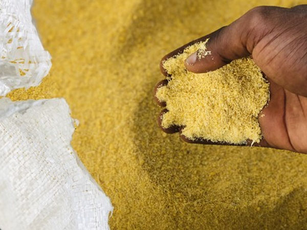 Starting a profitable garri processing plant