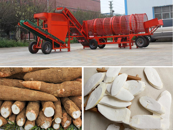 cassava chips processing machine