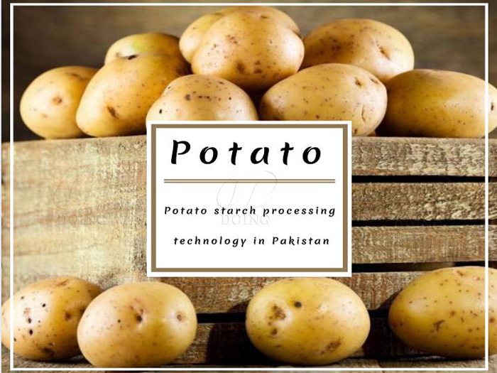 production technology of potato in pakistan