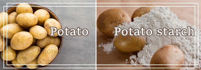 Production technology of potato in Pakistan