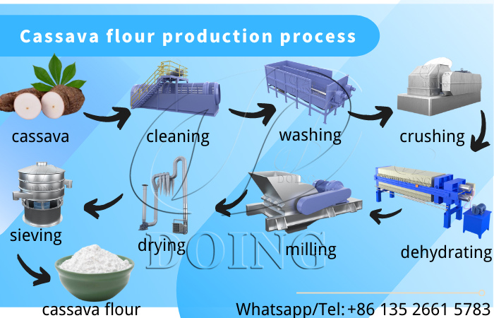 tapioca flour processing steps