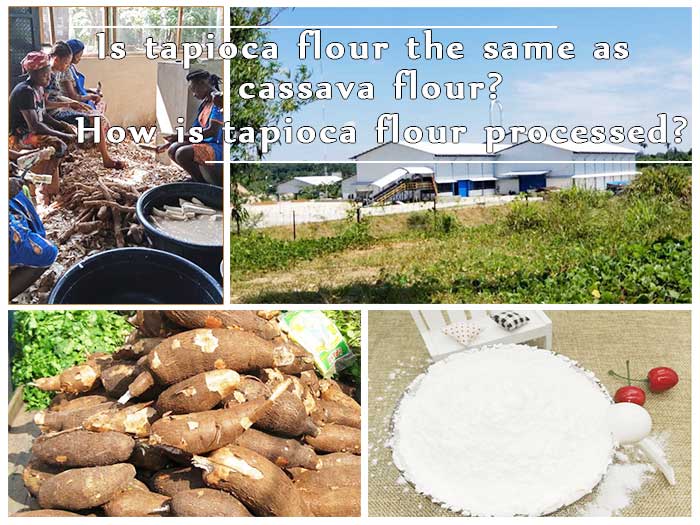 Is tapioca flour the same as cassava flour? How is tapioca flour processed?