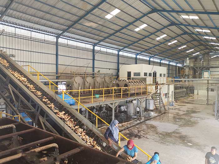 cassava processing plant