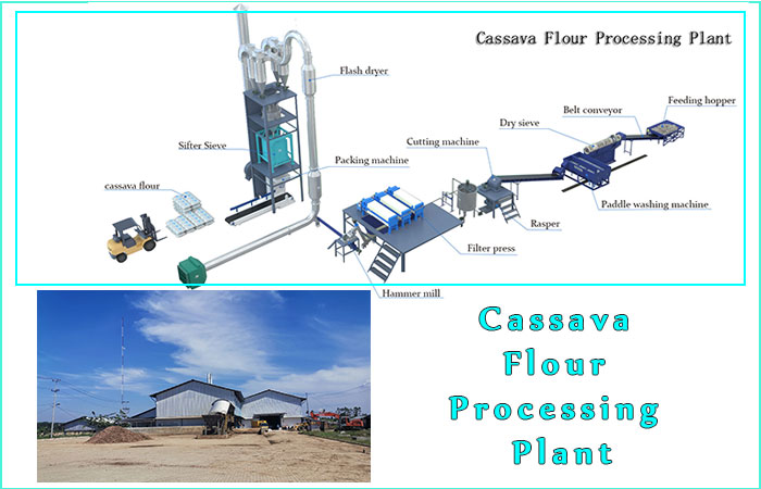 cassava flour processing plant