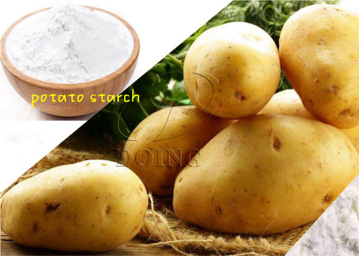 potato starch made from fresh potatoes