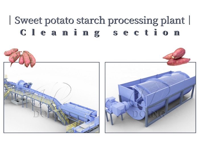 cleaning section of sweet potato starch production
