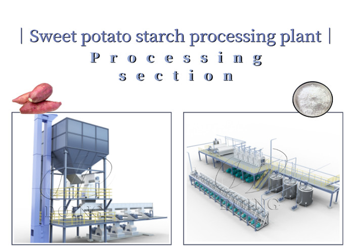 processing section of sweet potato starch production
