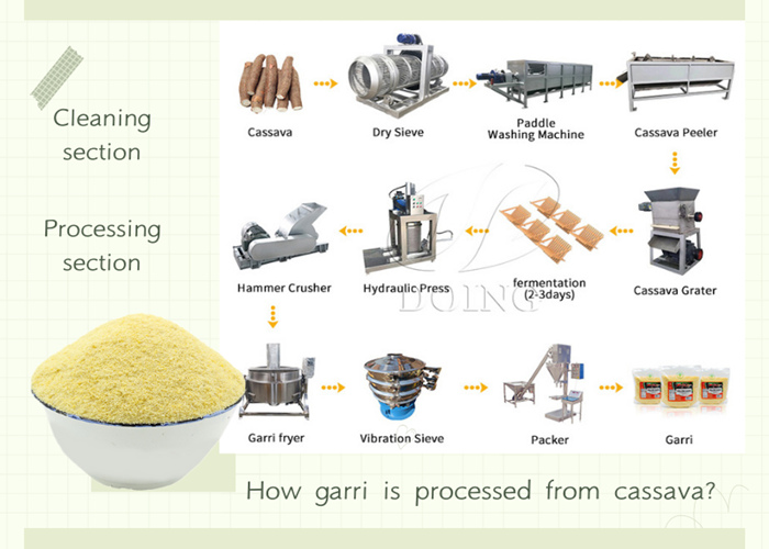 garri is processed from cassava