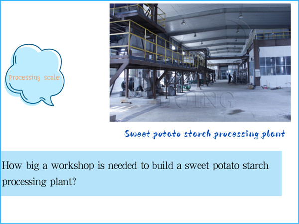 How big a workshop is needed to build a sweet potato starch processing plant?