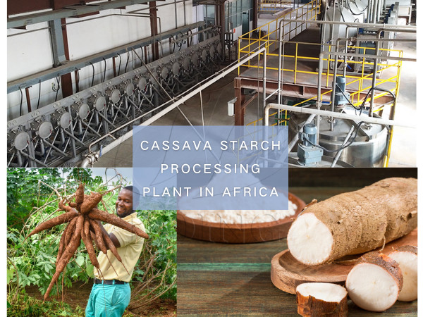 The preparation method of edible cassava starch