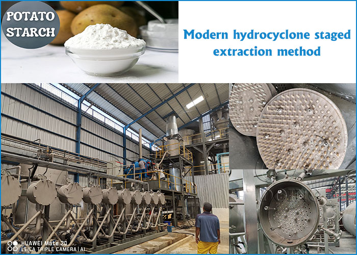 potato starch processing facility