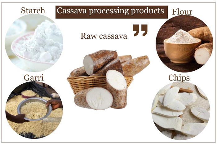 cassava processing