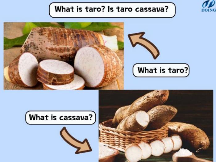 taro and cassava