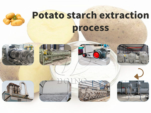 How Much Starch Can You Extract from One Ton of Potatoes? And How to Maximize Your Yield