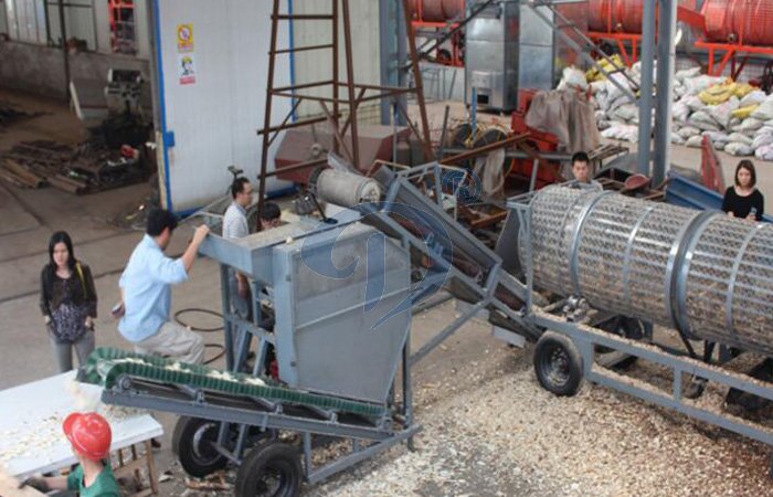 cassava chips machine