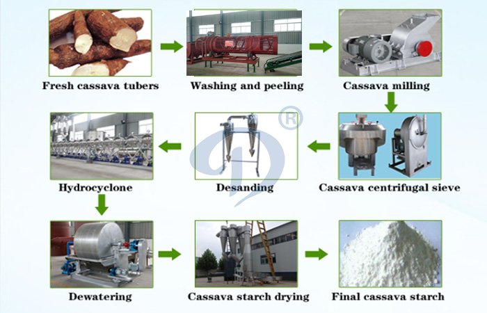 cassava starch processing